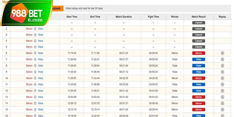 Theo dõi trận gà với cơ hội cược linh hoạt