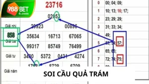 soi cau qua tram thumb
