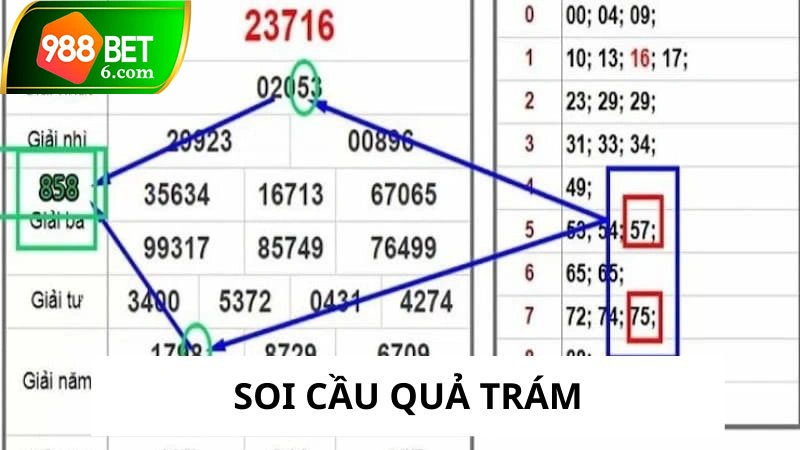 soi cau qua tram thumb