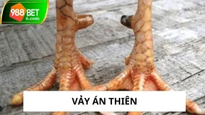 vay an thien thumb