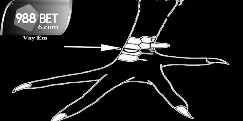 Chiến kê có đòn lối khéo léo